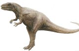 Megolasaurus dinosaur